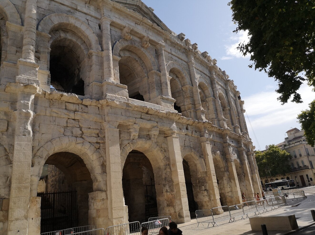 MATHILDE CASSOLI - Tour Leader-博洛尼亚必去景点
