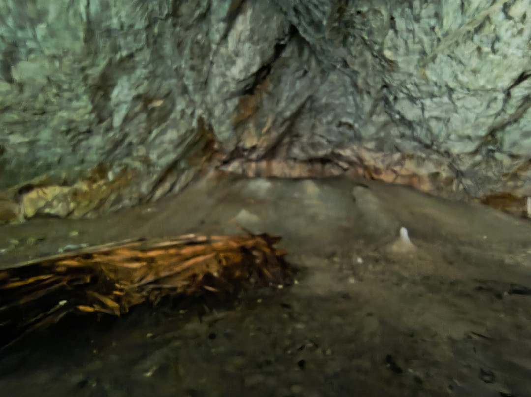 Scarisoara Ice Cave-Garda de Sus必去景点