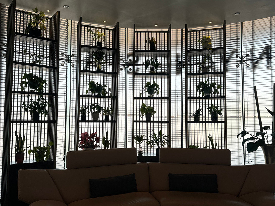 Yinyang Connection Spa Al Ferdous-迪拜必去景点