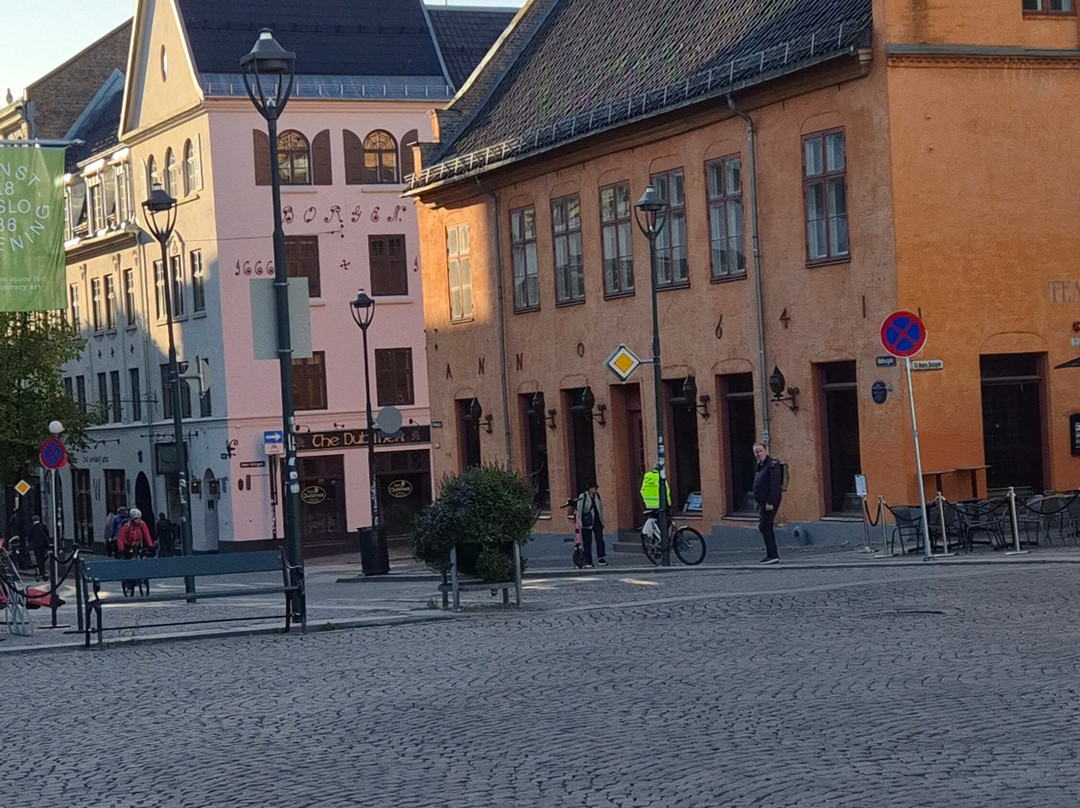 Oslo Running Tours-奥斯陆必去景点