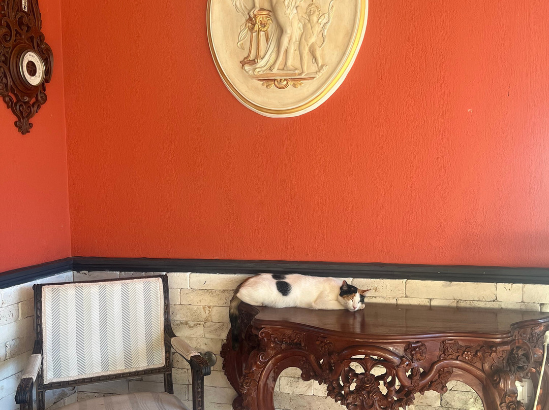 Kefalonian Product Boutique-Razata必去景点