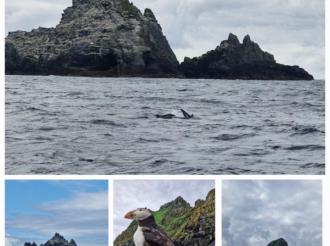 Skellig Michael Cruises-Portmagee必去景点