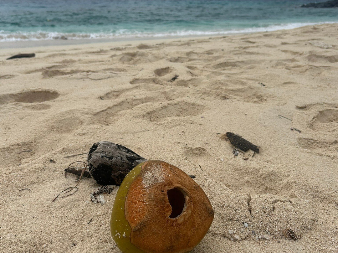 Cruisin Fiji-丹娜努岛必去景点