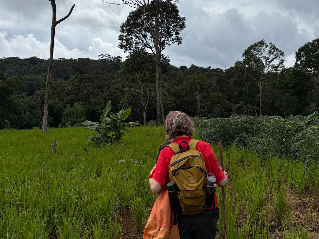 Elephant Valley Project-森莫诺隆必去景点