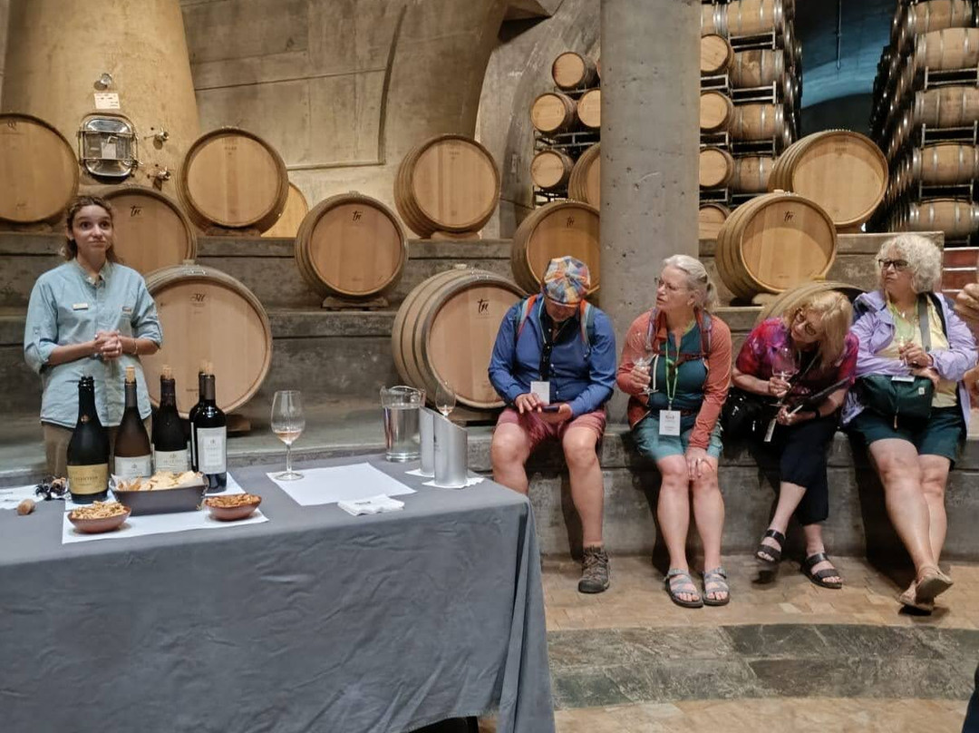 Vintura Wine Tours-阿格雷洛必去景点