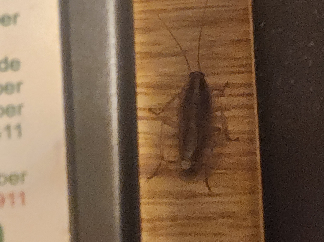 Splash Universe Resort-Dundee必去景点