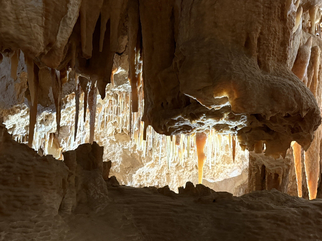 Kelly Hill Conservation Park-袋鼠岛必去景点
