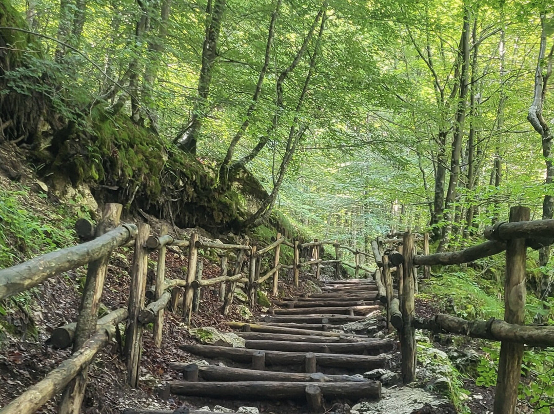 La Camosciara-Civitella Alfedena必去景点