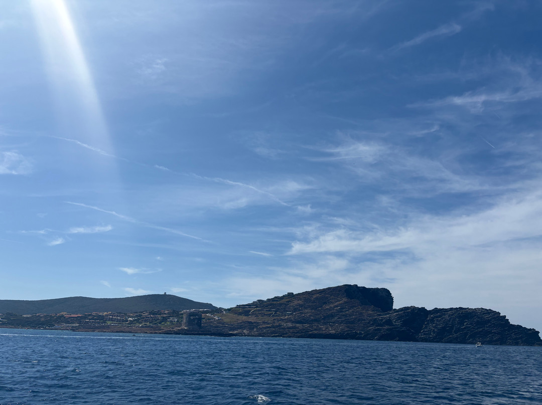 Escursioni Alghero Asinara-阿尔盖罗必去景点