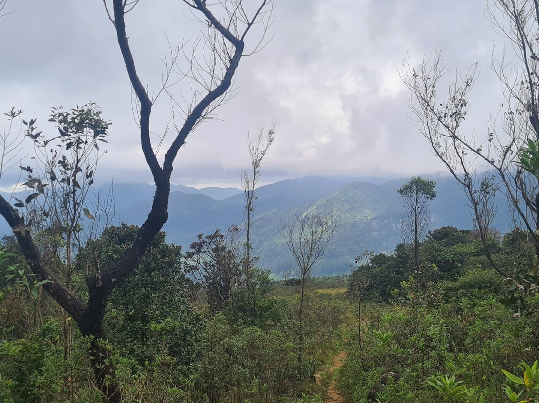 Sri Lanka Trekking-康提必去景点