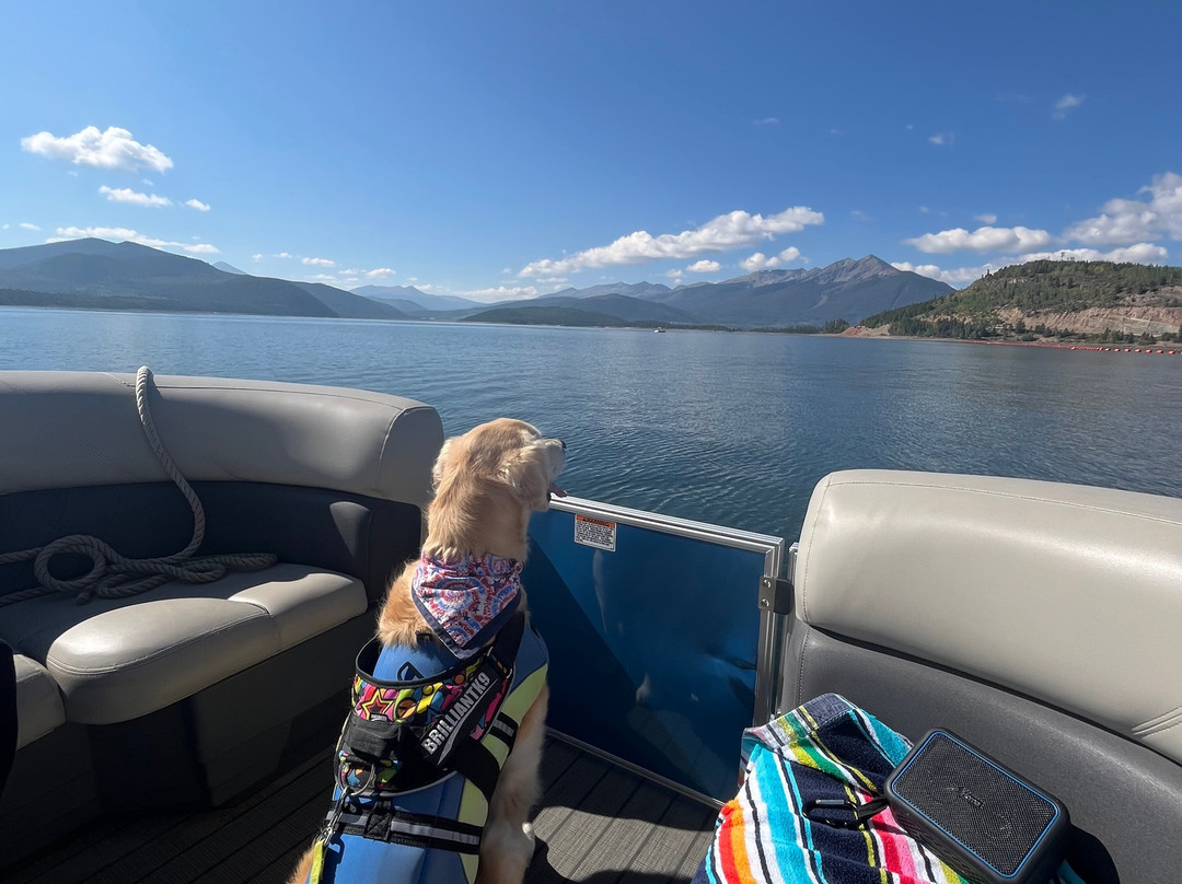 Dillon Marina-迪龙必去景点