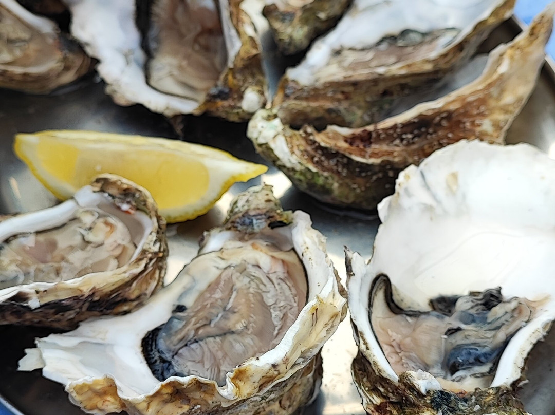 The Oyster Shed-Carbost必去景点