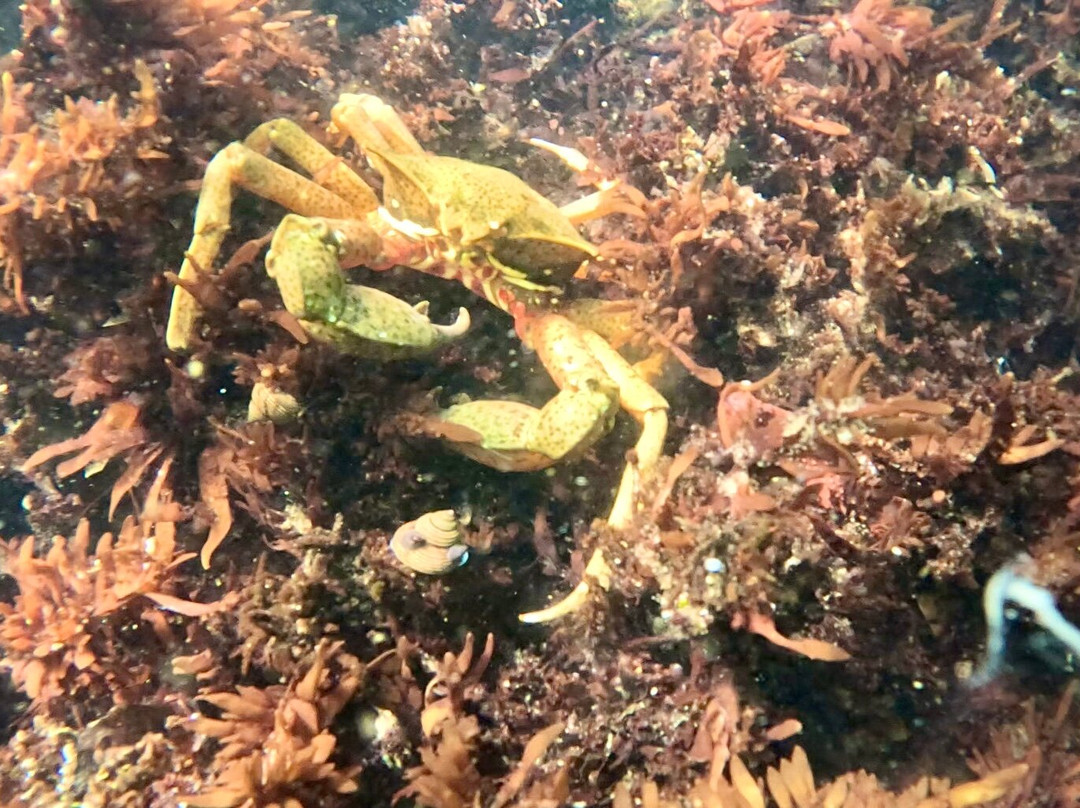 Monterey Expeditions-蒙特雷必去景点