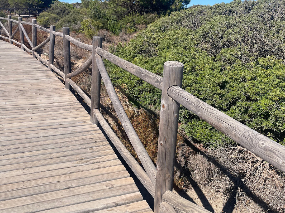 Cabopino Beach-马贝拉必去景点