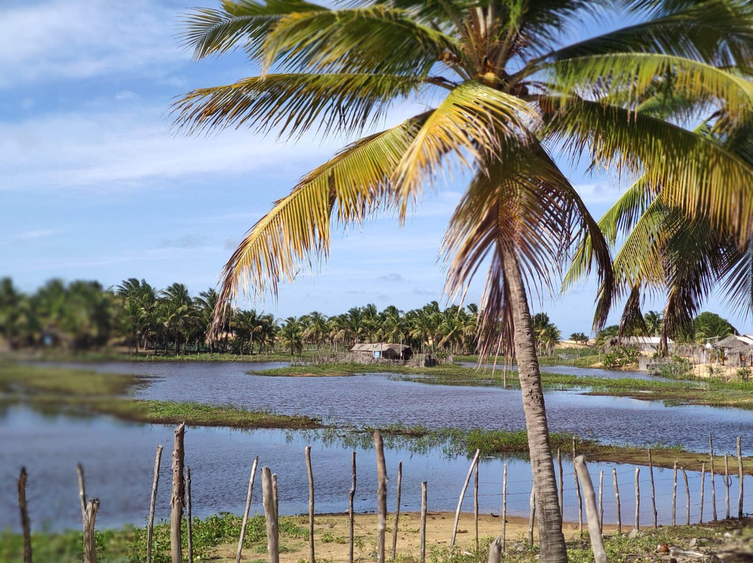 Ricardo Tuor-Piacabucu必去景点