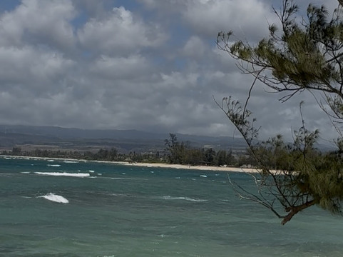 Kingdom Taxi Honolulu-火奴鲁鲁必去景点