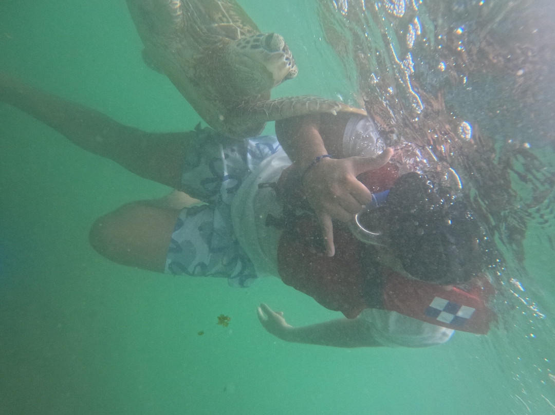 Mirissa Blue Whales And Turtle Snorkeling-Thalaramba必去景点