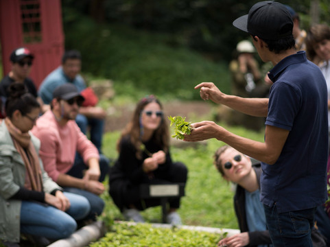 Tour de Café desde Bogotá en la Plantación de La Palma y El Tucán