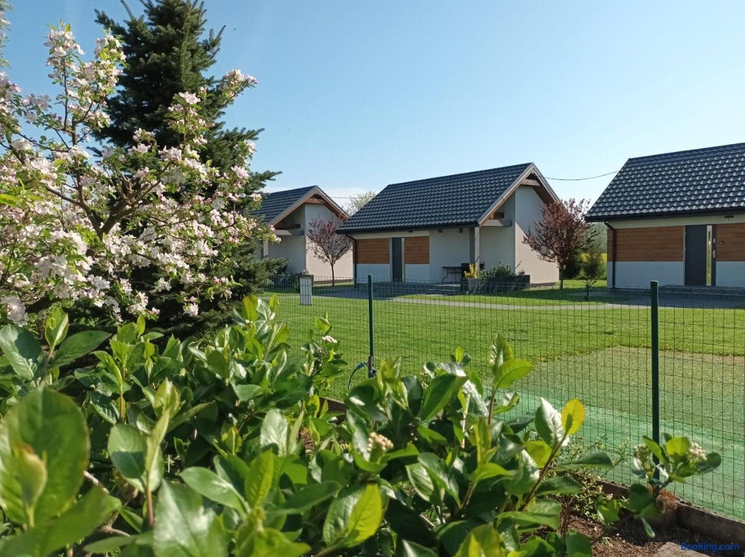 Apartamenty I Domki u Basi