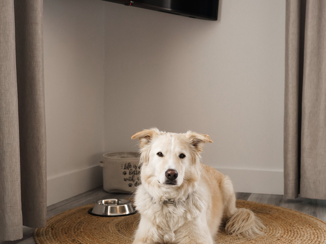 AX Hôtel Mont-Tremblant主图