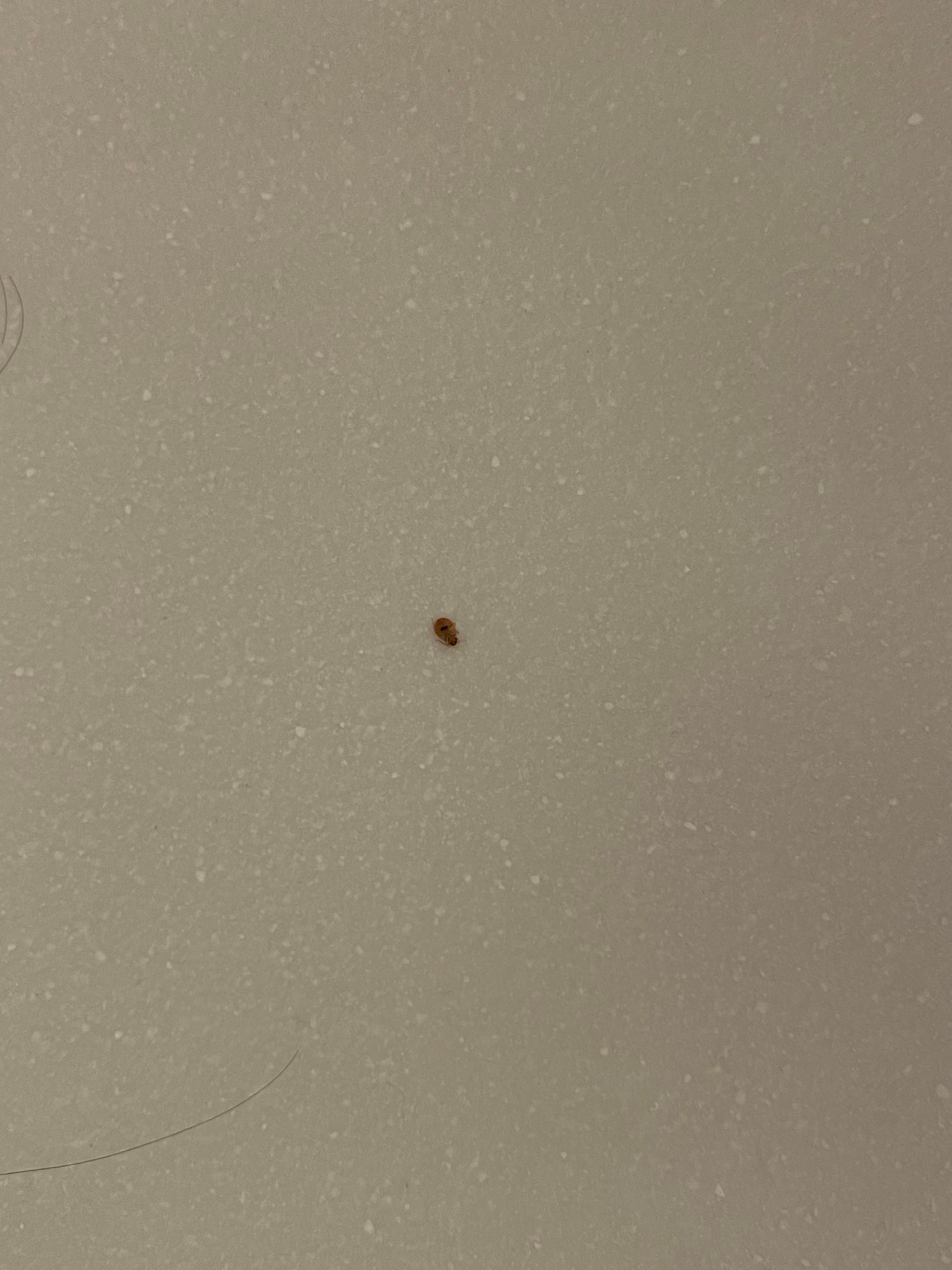 B&B HOTEL Creil Chantilly-官方