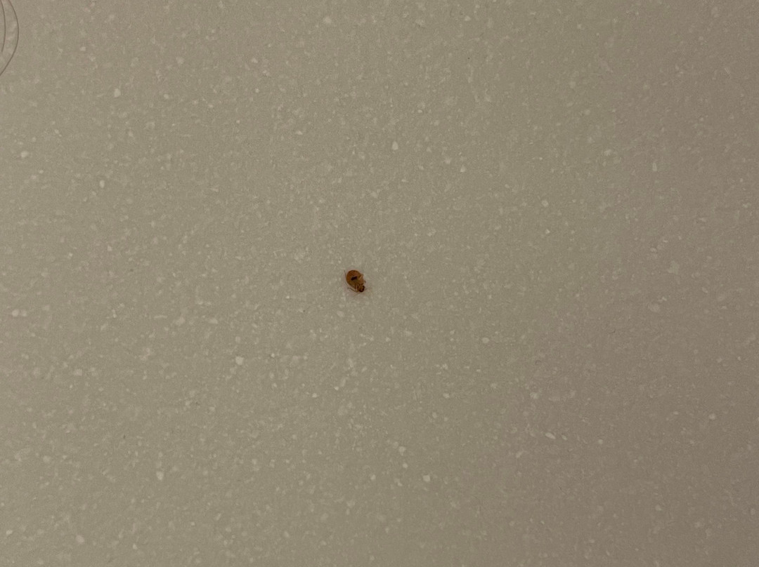 B&B HOTEL Creil Chantilly主图