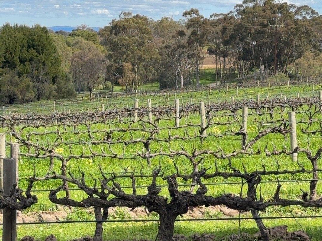 David Franz Wines-塔努达必去景点