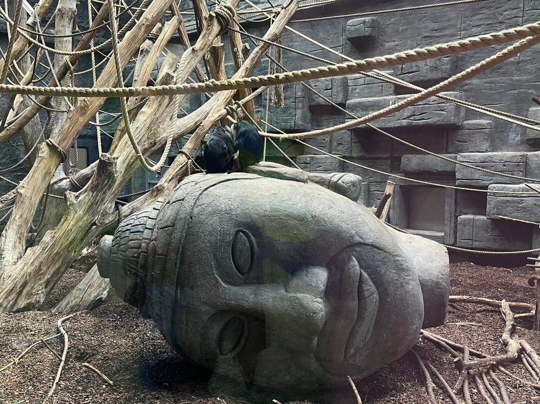 Orientarium Zoo Lodz-罗兹必去景点