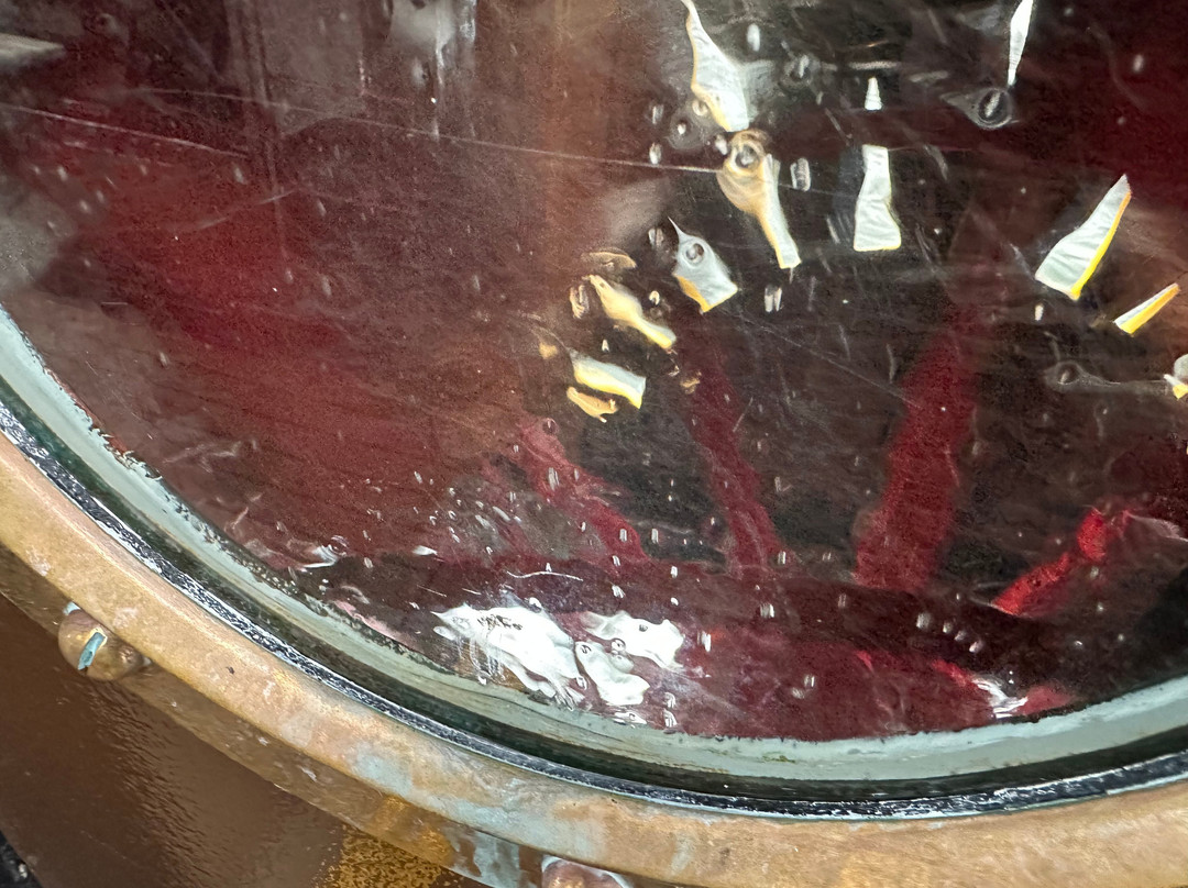 Paddle Steamer Kingswear Castle-达特茅斯必去景点