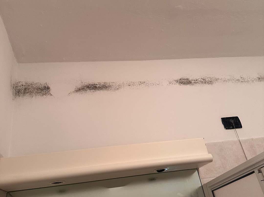 TH Capo Rizzuto主图