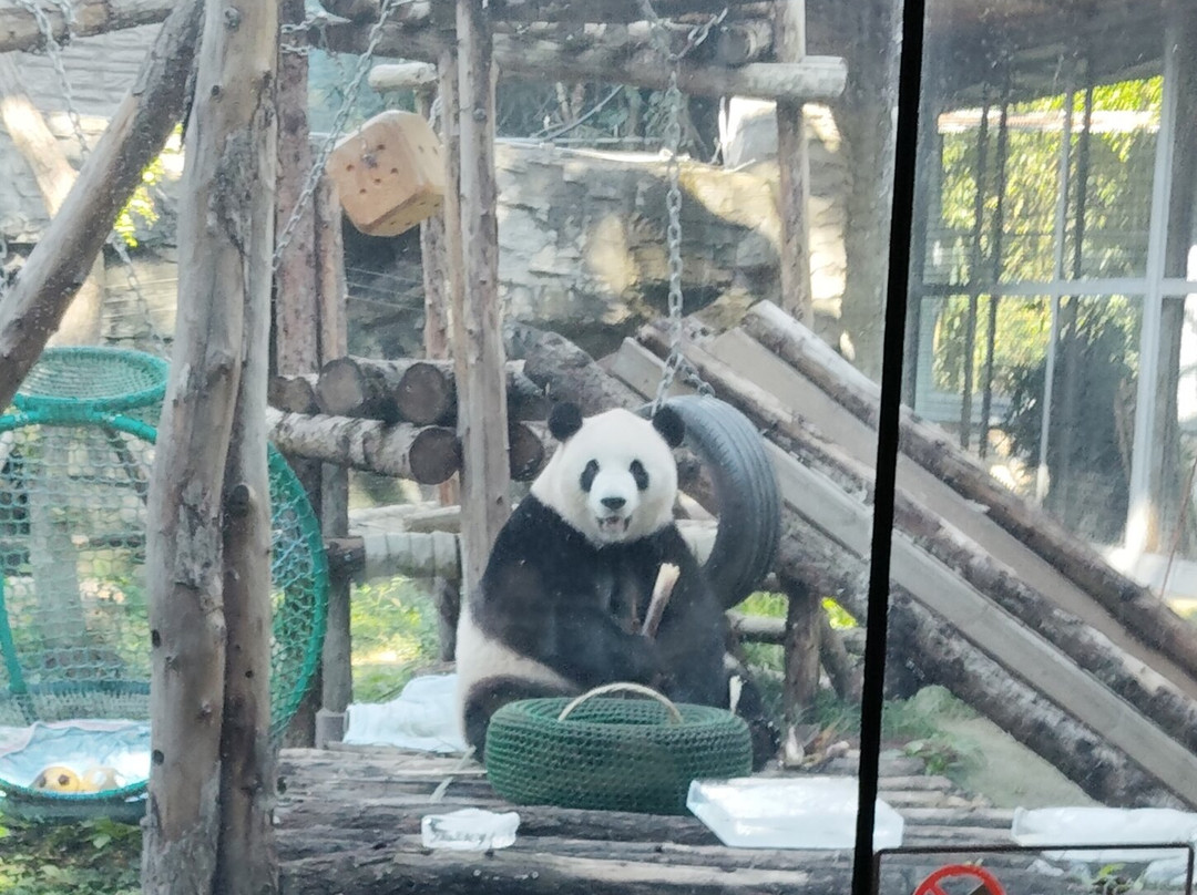 Lead to China-合肥市必去景点