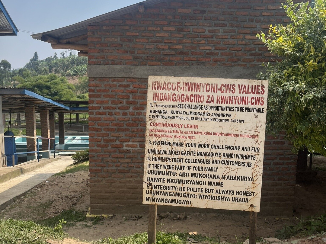 Kivu boat tours-Kibuye必去景点