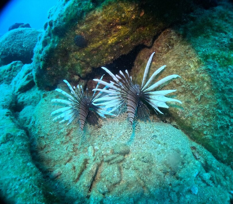 Diver's Club Crete-阿希亚贝拉希亚必去景点
