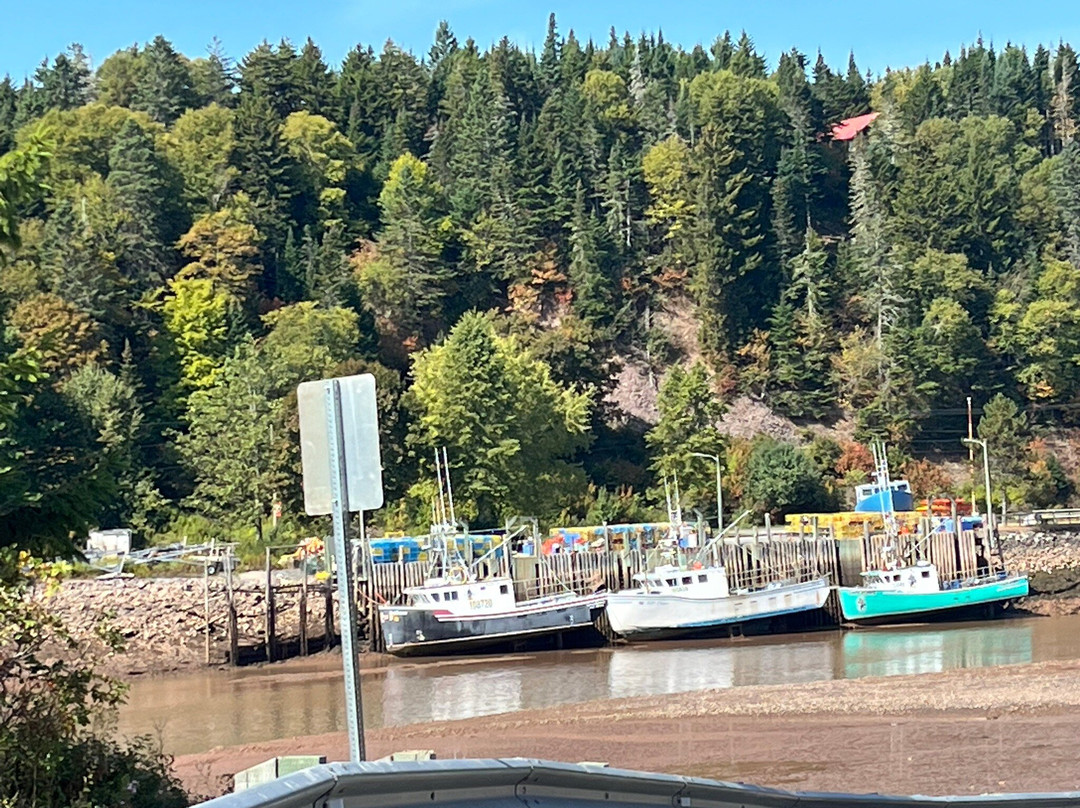 Fundy Footprints Bed And Breakfast主图