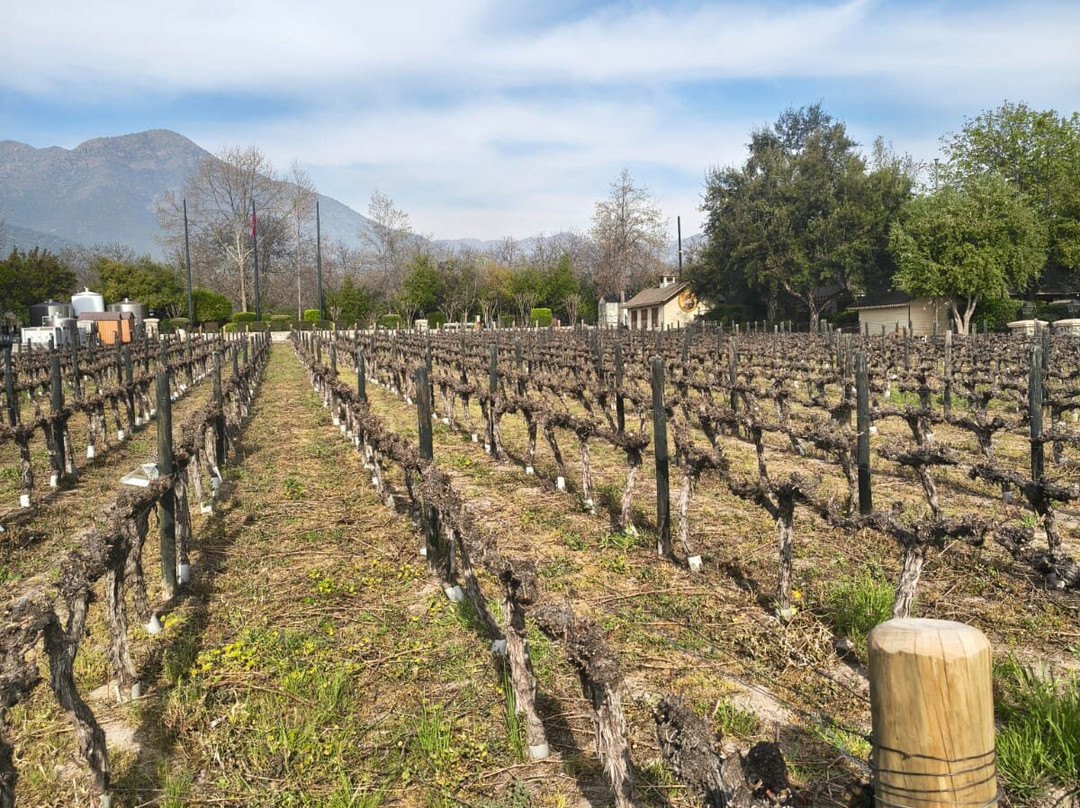 Alyan Family Wines-Pirque必去景点