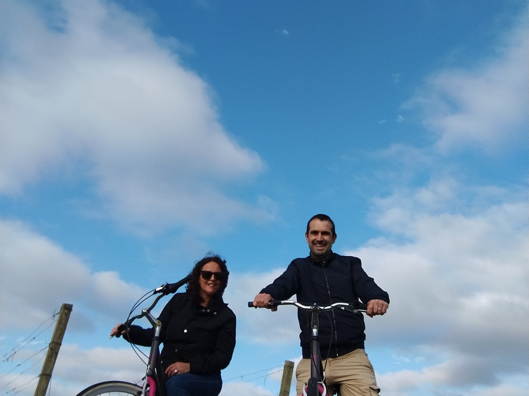 Bodega Spinoglio-蒙得维的亚必去景点