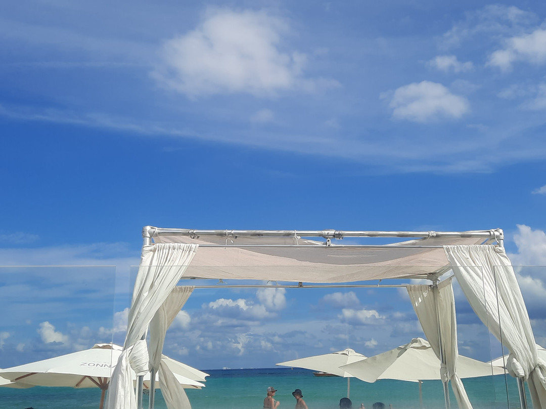 Mamita's Beach Club-普拉亚德尔卡曼必去景点