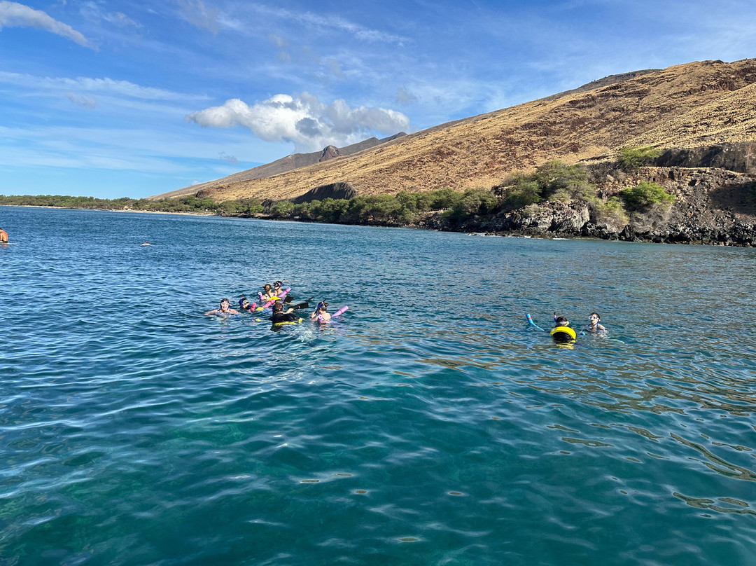 Maui Snorkeling-玛阿拉也亚必去景点