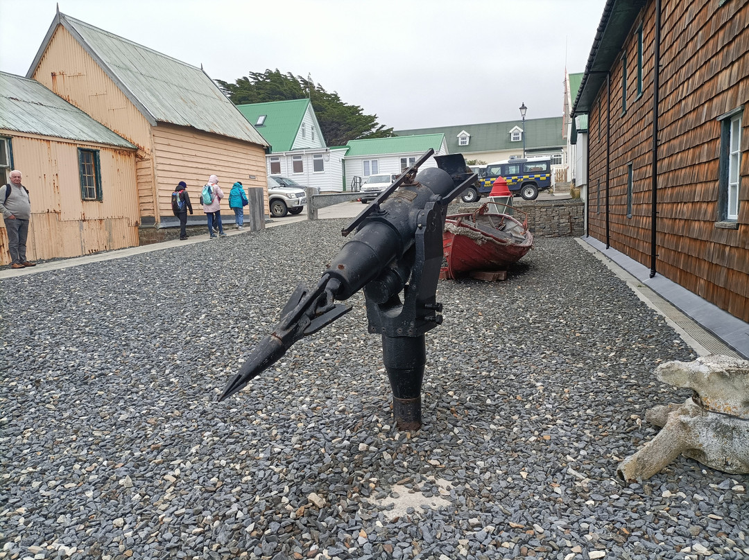 Falklands Outdoors-Stanley必去景点