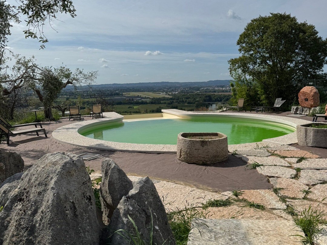 Delser Manor House Hotel主图