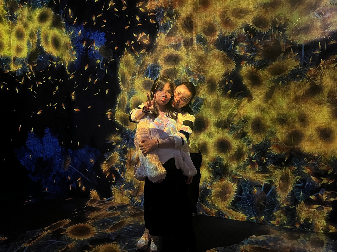 Teamlab Borderless Tokyo Azabudai Hills-港区必去景点