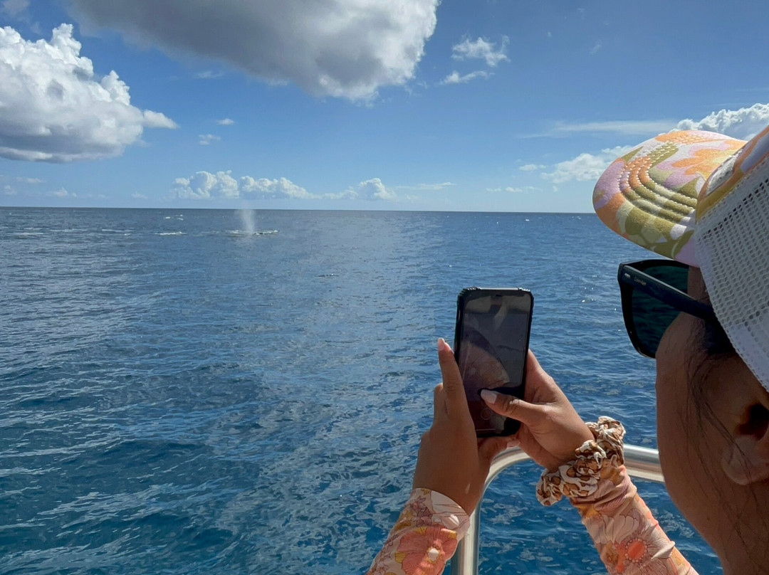 Dive and Sea Tahiti - Base nautique de Puna'auia-普纳奥亚必去景点