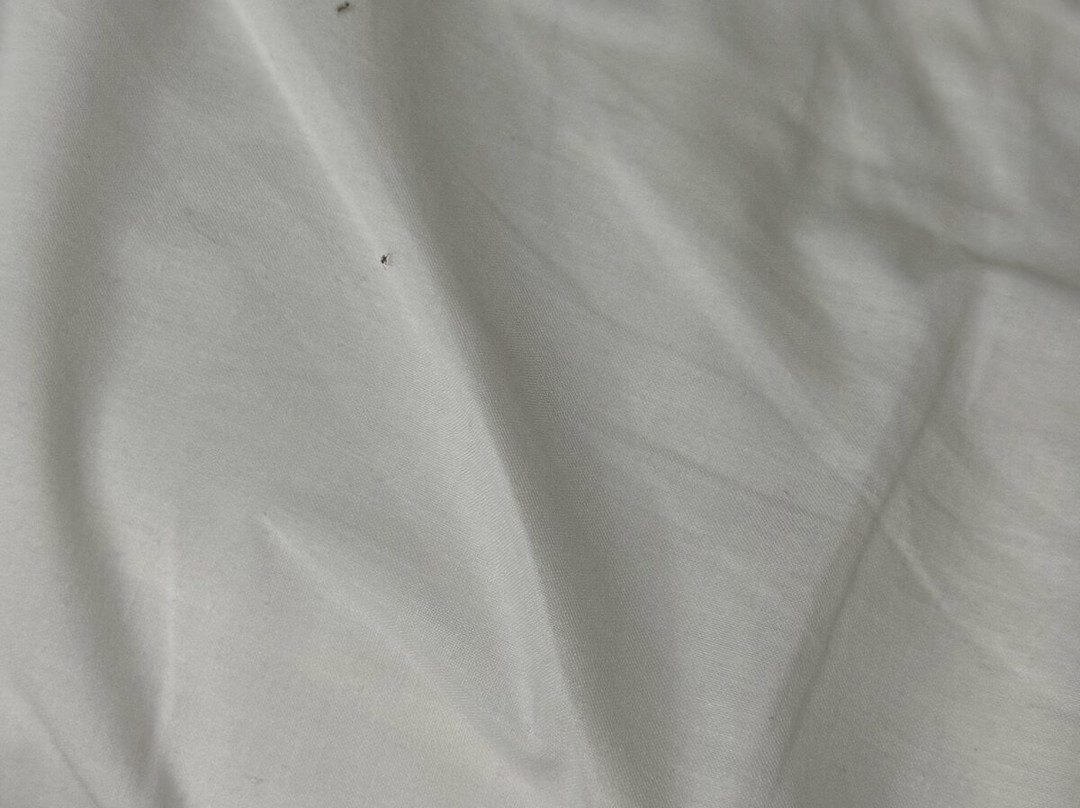 Scaleta Beach Hotel主图