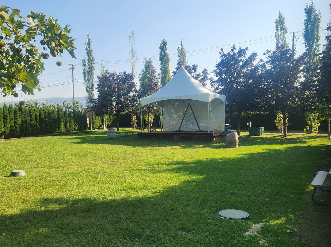 The Vibrant Vine-基洛纳必去景点