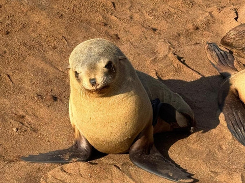 Bluecrane Safaris Namibia-温德和克必去景点