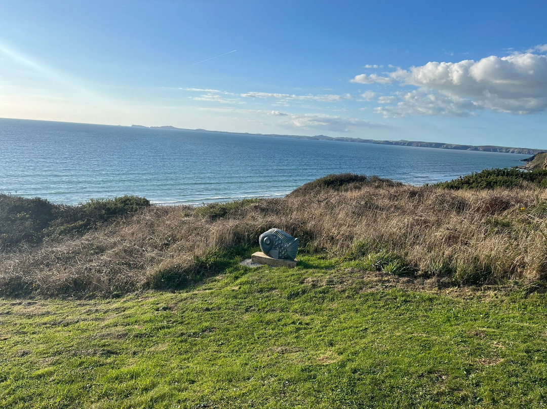 The Druidstone Hotel主图