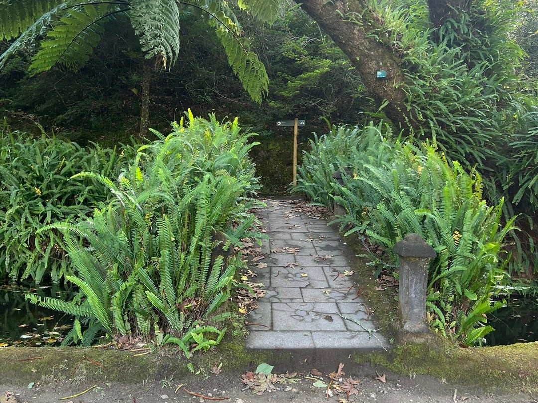 Parque Terra Nostra-富尔纳斯必去景点