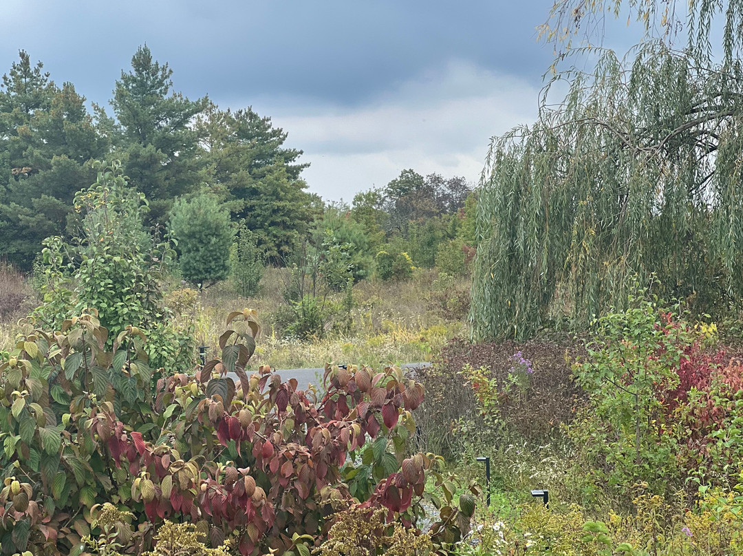 Wildflower Farms, Auberge Collection主图