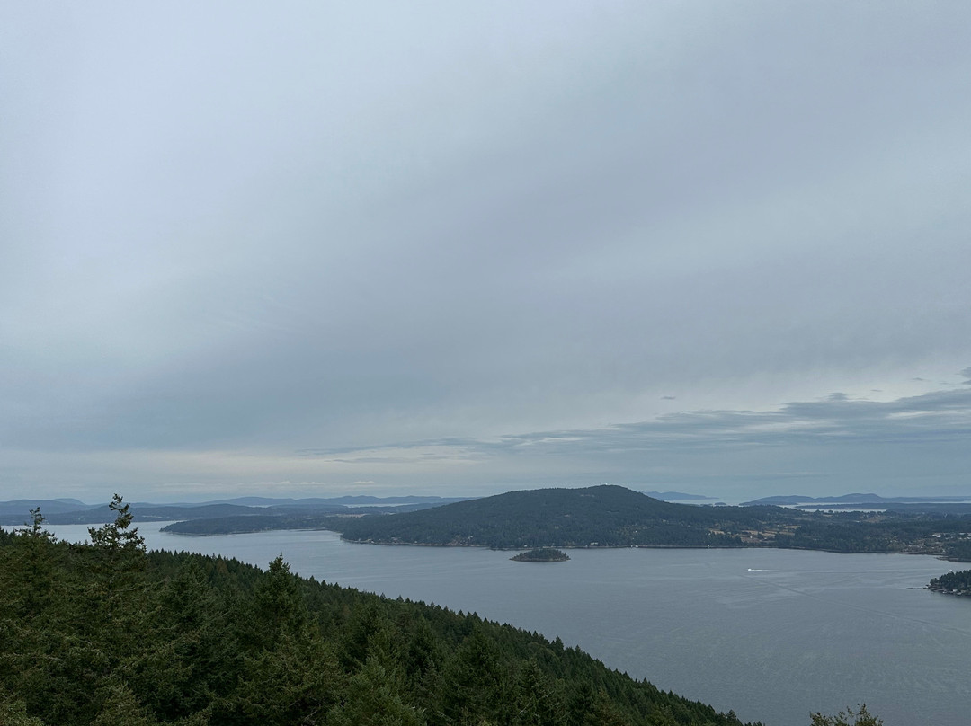 Malahat Skywalk-Malahat必去景点