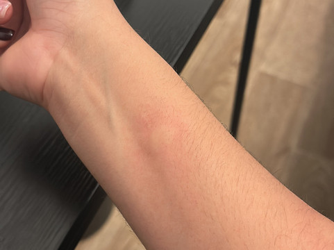 西奥特尔乐理查流酒店